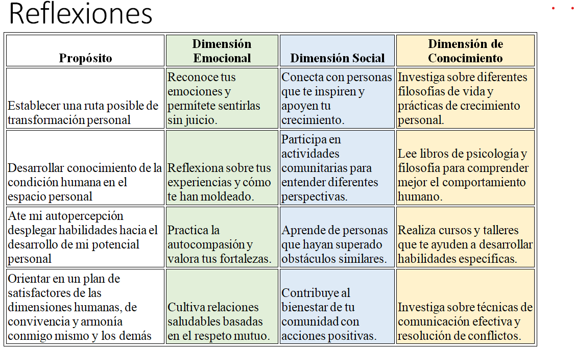 PLAN ACADÉMICO